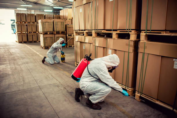 Professional Pest Control in Blaine, TN