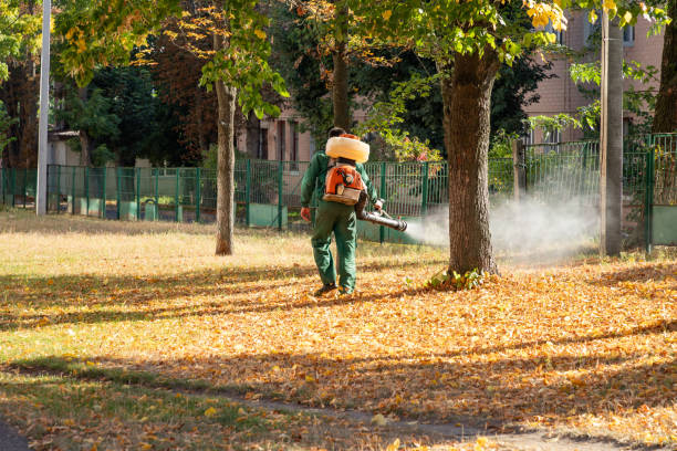 Best Wasp Removal Services  in Blaine, TN