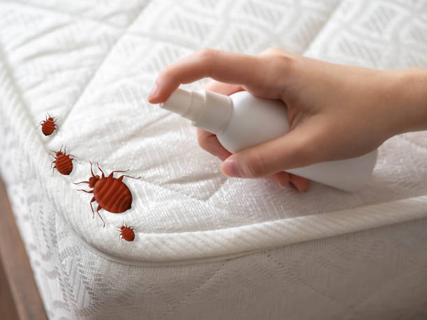 Pest Prevention Services in Blaine, TN